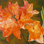 Azalea