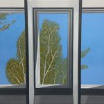 Salmonier Skylight